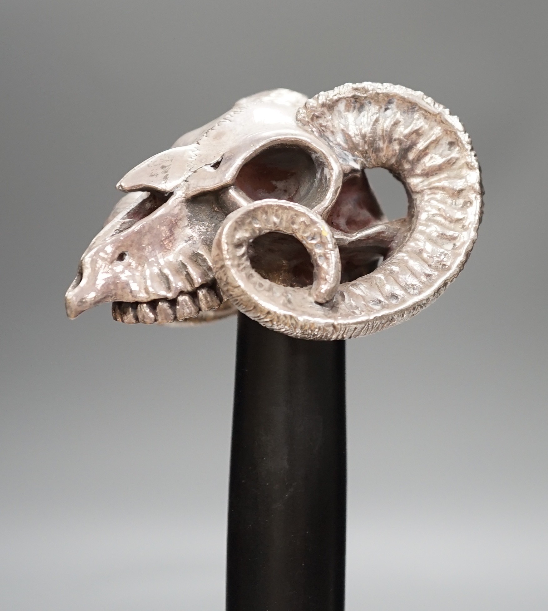 A Jeffery West umbrella with modern filled silver ram skull handle